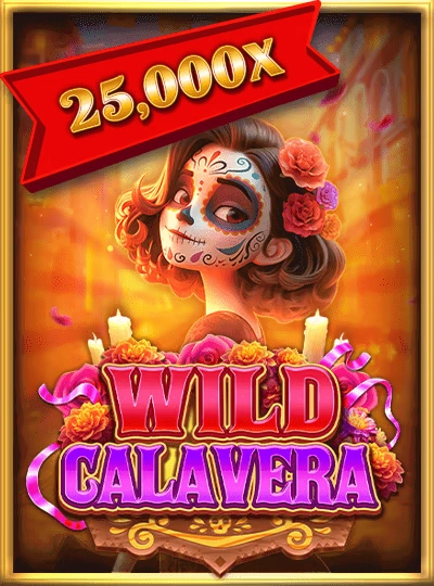Live Baccarat table game cover with real dealer